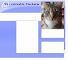 firefox.jpg