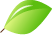 leaf.png leaf.png