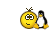 13.gif