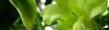 templatemo_image_03.jpg