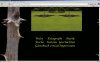 Screen04.jpg