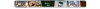 Scrollbar.PNG Scrollbar.PNG