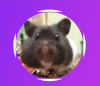 Bildschirmfoto 2018-04-03 um 13.56.42.png