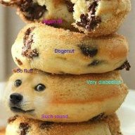 Doge