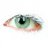 The_Eye